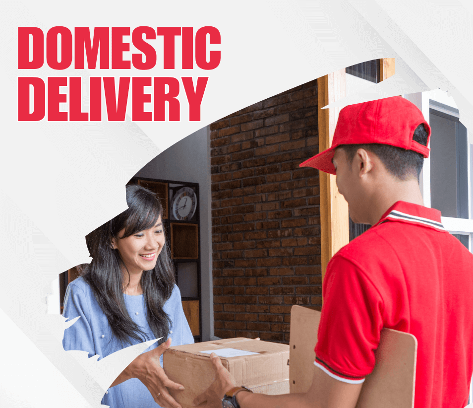 Domestic Delivery
